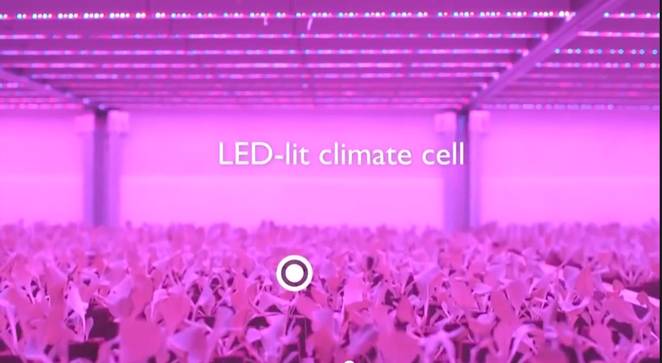 LED lights trigger urban farming revolution
