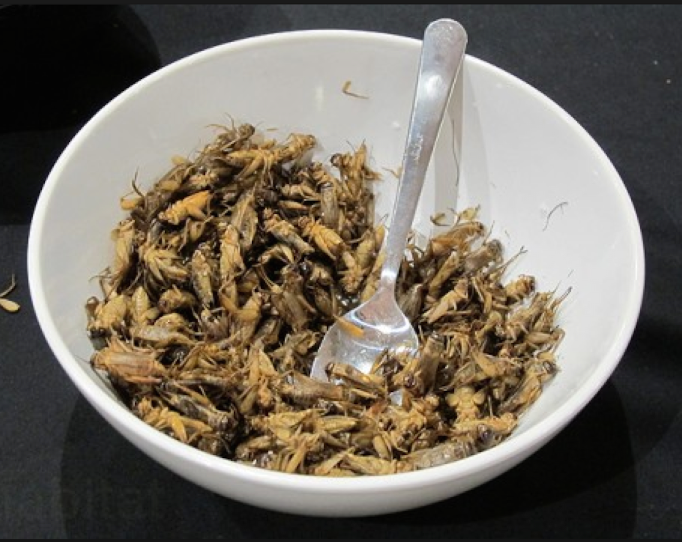 The Next New Miracle Superfood: Insects, Scientists Say – Forbes