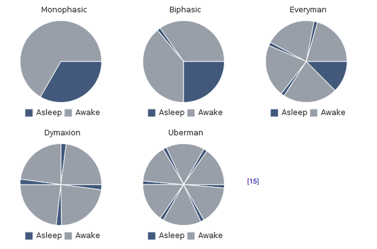 How sleeping 6 times a day helped the founder of WordPress build a billion-dollar company | VentureBeat | OffBeat | by Gregory Ferenstein
